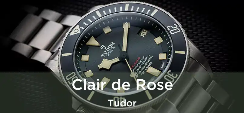  Clair de Rose Tudor