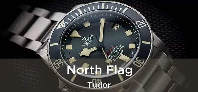  North Flag Tudor