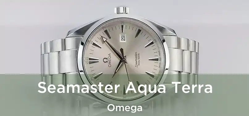  Seamaster Aqua Terra Omega